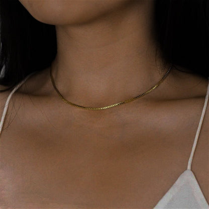 Collier En Chaîne En Boîte Danica En Or
