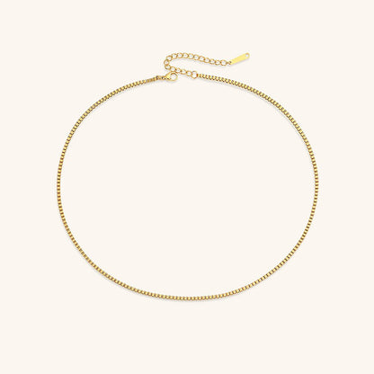 Collier En Chaîne En Boîte Danica En Or
